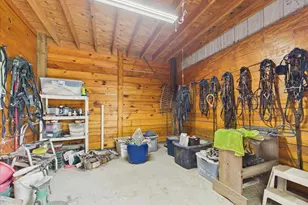 519 Beck Rd, Williston, SC 29853 - Photo 7