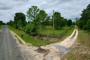 519 Beck Rd, Williston, SC 29853 - Photo 53