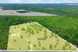 519 Beck Rd, Williston, SC 29853 - Photo 55