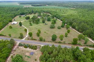 519 Beck Rd, Williston, SC 29853 - Photo 43