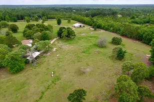 519 Beck Rd, Williston, SC 29853 - Photo 45
