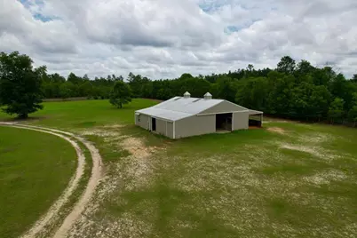 519 Beck Road, Williston, SC 29853 - Photo 41