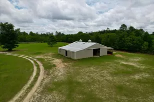 519 Beck Rd, Williston, SC 29853 - Photo 41