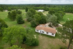 519 Beck Rd, Williston, SC 29853 - Photo 51