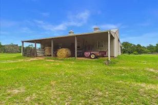 519 Beck Rd, Williston, SC 29853 - Photo 15