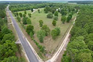 519 Beck Rd, Williston, SC 29853 - Photo 53