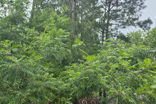 133 Troon Way, Aiken, SC 29803 - Photo 27