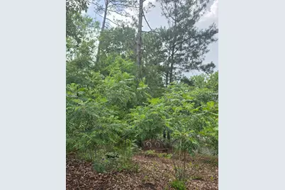 133 Troon Way, Aiken, SC 29803 - Photo 25