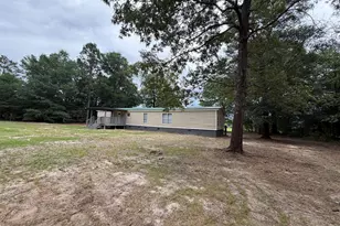 645 South Carolina 64, Olar, SC 29843 - Photo 3