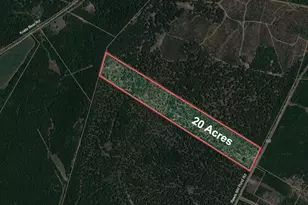 20 Acres Rawls Mill Pond Rd, Wagener, SC 29164 - Photo 1