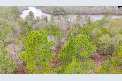 0 Browns Pond Road, Wagener, SC 29164 - Photo 1