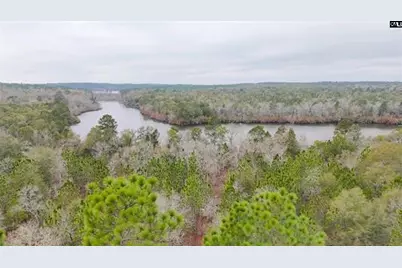 0 Browns Pond Road, Wagener, SC 29164 - Photo 3