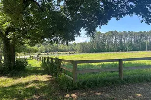 10886 Burtons Ferry Hwy, Allendale, SC 29810 - Photo 5