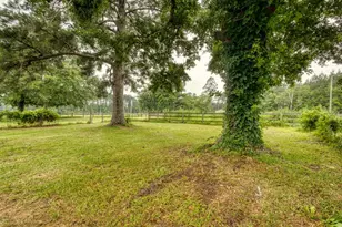 10886 Burtons Ferry Hwy, Allendale, SC 29810 - Photo 51