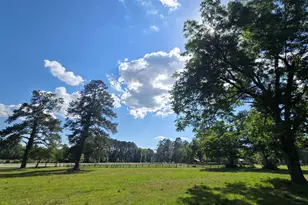 10886 Burtons Ferry Hwy, Allendale, SC 29810 - Photo 53