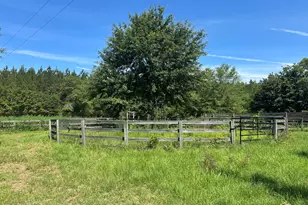 10886 Burtons Ferry Hwy, Allendale, SC 29810 - Photo 47