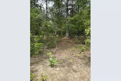 0 Cemetery Road, Elko, SC 29826 - Photo 7