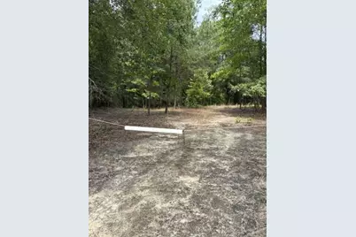 Lot A Cemetery Road, Elko, SC 29826 - Photo 3