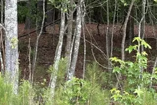 Lot A Cemetery Rd, Elko, SC 29826 - Photo 1