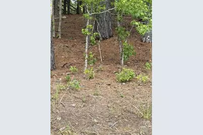 Lot A Cemetery Road, Elko, SC 29826 - Photo 5