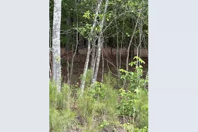 Lot B Cemetery Road, Elko, SC 29826 - Photo 1