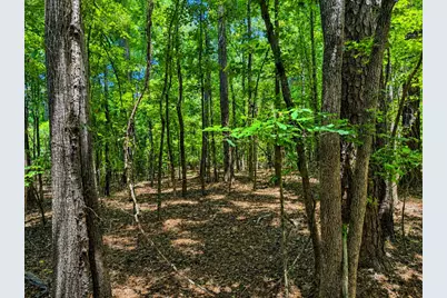 0 Partridge Road, Orangeburg, SC 29118 - Photo 7