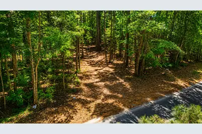 0 Partridge Road, Orangeburg, SC 29118 - Photo 5
