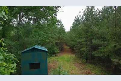 Tbd Pineywood Road #Tbd, Saluda, SC 29138 - Photo 15