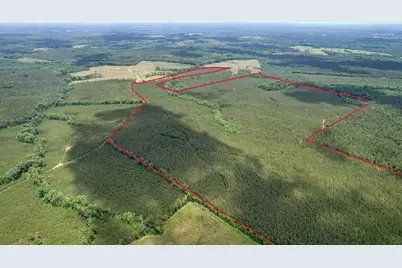 Tbd Pineywood Road #Tbd, Saluda, SC 29138 - Photo 3