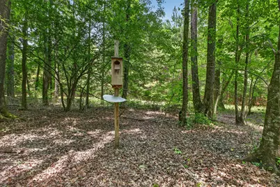 Tbd Pineywood Road #Tbd, Saluda, SC 29138 - Photo 11