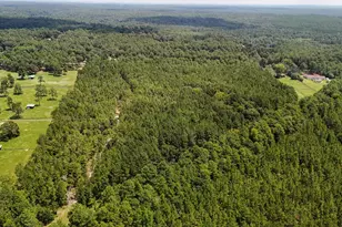 3320 Banks Mill Rd SE, Aiken, SC 29803 - Photo 9