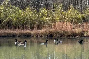 122 Twin Creek Farm Rd, Aiken, SC 29805 - Photo 95