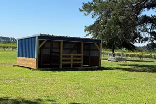 1412 McCreight Rd, Ridge Spring, SC 29129 - Photo 29