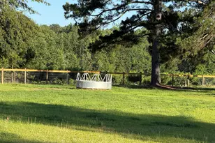 1412 McCreight Rd, Ridge Spring, SC 29129 - Photo 33