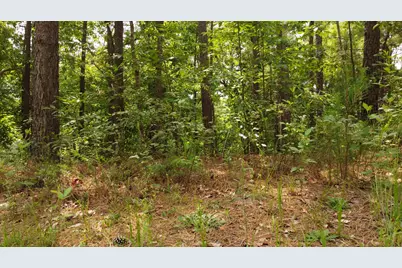 158 Mockernut Circle, Aiken, SC 29803 - Photo 19