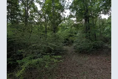285 Garvin Drive, Wagener, SC 29164 - Photo 11