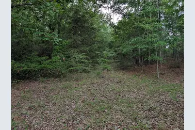 285 Garvin Drive, Wagener, SC 29164 - Photo 7