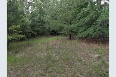 285 Garvin Drive, Wagener, SC 29164 - Photo 9