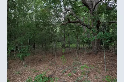 285 Garvin Drive, Wagener, SC 29164 - Photo 13