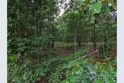 285 Garvin Drive, Wagener, SC 29164 - Photo 5