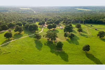 500 Burkelo Road, Wagener, SC 29164 - Photo 73