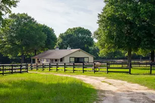 500 Burkelo Rd, Wagener, SC 29164 - Photo 69