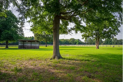 500 Burkelo Road, Wagener, SC 29164 - Photo 67