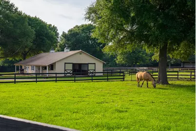 500 Burkelo Road, Wagener, SC 29164 - Photo 9