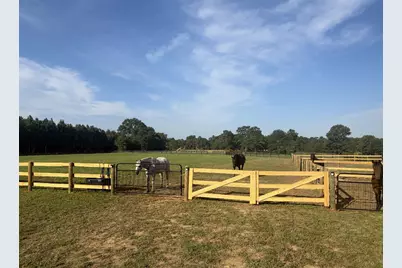601 Bethcar Church Road, Wagener, SC 29164 - Photo 13