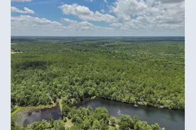 1366 Cummings Road, Ridge Spring, SC 29129 - Photo 67