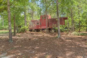 1366 Cummings Rd, Ridge Spring, SC 29129 - Photo 49