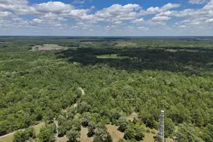1366 Cummings Rd, Ridge Spring, SC 29129 - Photo 63