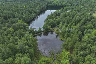 1366 Cummings Rd, Ridge Spring, SC 29129 - Photo 75