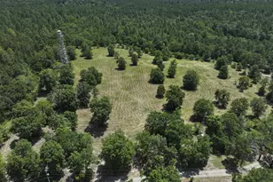 1366 Cummings Rd, Ridge Spring, SC 29129 - Photo 69
